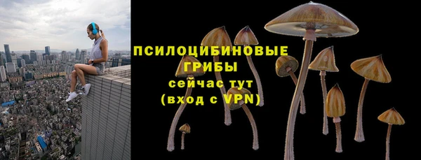герыч Кинешма